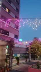 Blk 8 Farrer Gardens (Bukit Timah), HDB 3 Rooms #628424431